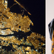 Illustration for article titled These Scarves Are Printed With the Outlines of Cities Aglow at Night